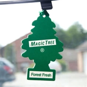 Car air freshener